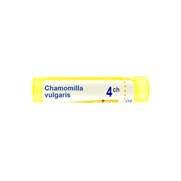 Chamomilla vulgaris granules homéopathie Boiron
