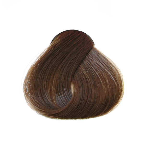 Les 3 Chênes Color et Soin coloration permanente blond foncé 6N