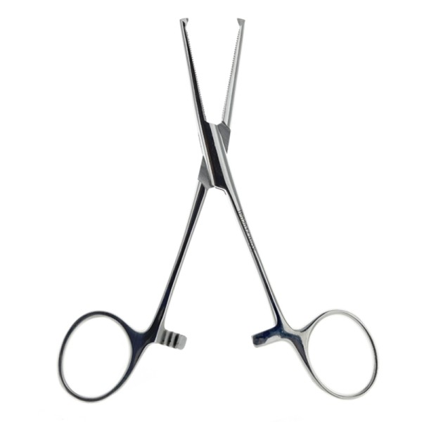 Holtex pince Kocher droite avec griffes