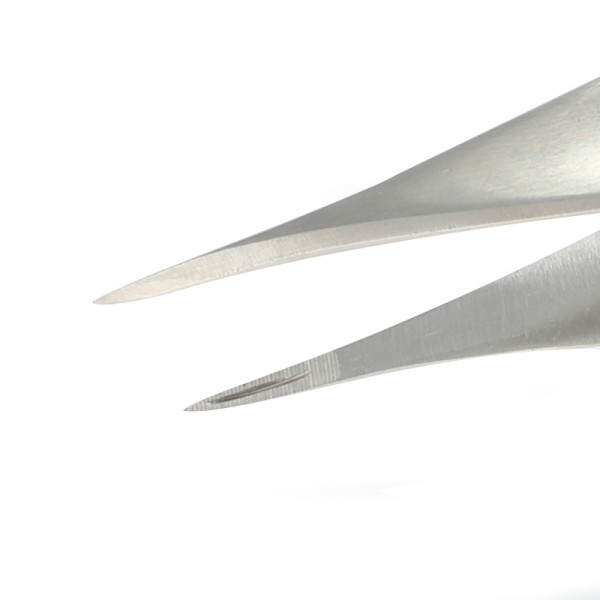 Holtex pince à écharde Feilchenfeld