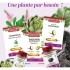 Super Diet aubier de tilleul digestion bio ampoules