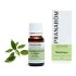 Pranarom huile essentielle Ravintsara