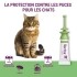 Vectra Felis Pipettes anti puces chat