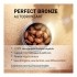 Oenobiol Perfect Bronze Autobronzant capsules