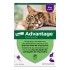 Advantage pipettes pour chat et lapin traitement anti puces