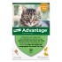 Advantage pipettes pour chat et lapin traitement anti puces