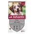 Advantix Chien pipettes anti puces