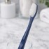 GDD Brosse à dents rechargeable avec tête incluse