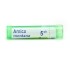 Arnica montana granules homéopathie Boiron