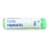 Carbo vegetabilis dose homéopathie Boiron