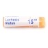 Boiron Lachesis mutus dose
