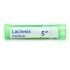 Boiron Lachesis mutus granules