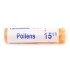 Boiron Pollens dose