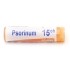 Boiron Psorinum dose