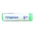 Boiron Pyrogenium dose