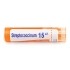 Boiron Streptococcinum 15CH granules