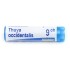 Boiron Thuya occidentalis dose