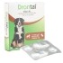 Drontal chien XL comprimés