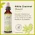 Fleurs de Bach White chestnut n°35