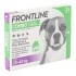 Frontline COMBO pipettes anti puce pour chien