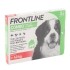 Frontline COMBO pipettes anti puce pour chien