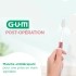 Gum Brosse à dents Post-Operation