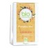 Bio Nutrisanté infusion Pumpkin chaï sachets