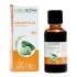 Naturactive huile de Calophylle Bio