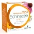 Lehning Echinacée n°40