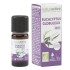 Naturactive huile essentielle Eucalyptus globuleux Bio