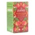Pukka Tisane Pomme sauvage et cannelle biologique sachets