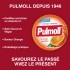 Pulmoll pastilles Orange sans sucres