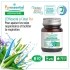 Puressentiel Respiratoire Comprimés Sinus Express