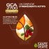 Santé Verte GCA 2700 gel de massage chauffant