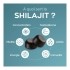Granions Shilajit 800 mg gummies