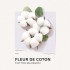 Solinotes Eau de Parfum Fleur de Coton