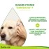 Surosolve nettoyant auriculaire Chien et Chat