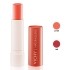 Vichy Naturalblend lips soin des lèvres hydratant teinté 4,5 g