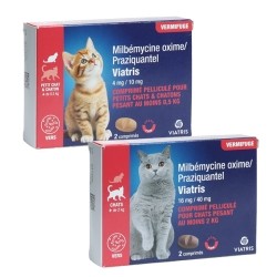 Milbémycine Praziquantel vermifuge chat
