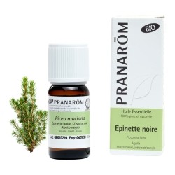 Pranarom huile essentielle d'épinette noire Bio