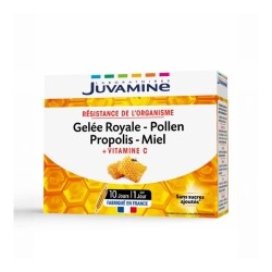 Juvamine Gelée Royale Pollen Propolis Miel ampoules
