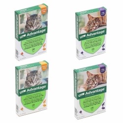Pipette anti puce Advantage chat et lapin