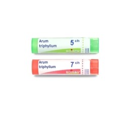 Boiron Arum triphyllum granules