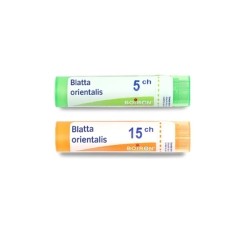 Boiron Blatta orientalis granules