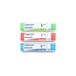 Boiron Capsicum annuum granules