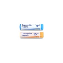 Boiron homéopathie en dose Chamomilla vulgaris