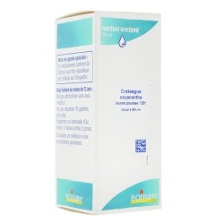 Boiron macérat glycériné Crataegus Oxyacantha jeunes pousses 1 DH