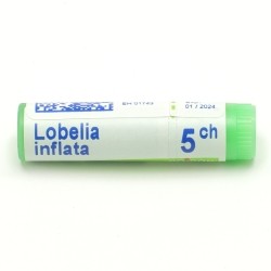 Boiron Lobelia inflata 5CH dose