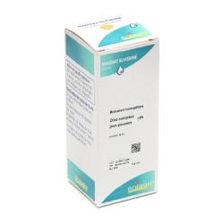 Macérat Glycériné Boiron olea europaea 1 DH jeunes pousses