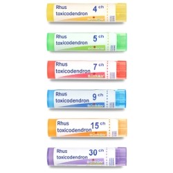Boiron Rhus toxicodendron granules homéopathiques